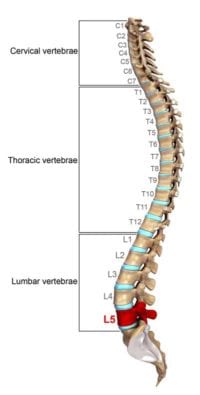 Overcoming Pain from Facet Joint Syndrome | SpineOne