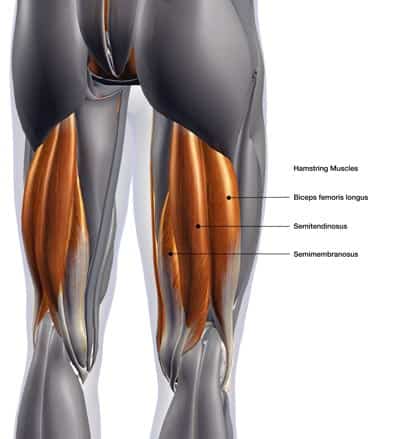 Hamstring Stretches For Back Pain Relief Spineone