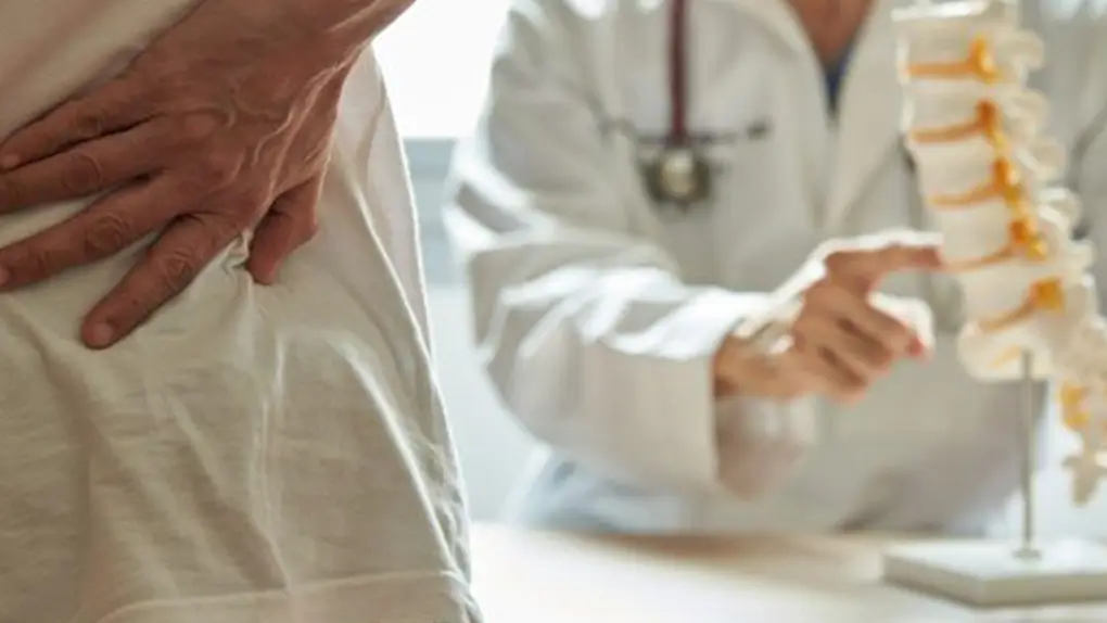 Doctor shows 3D spine model to patient with low back pain