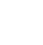 White flower in front of light gray background